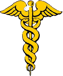Image of gold caduceus